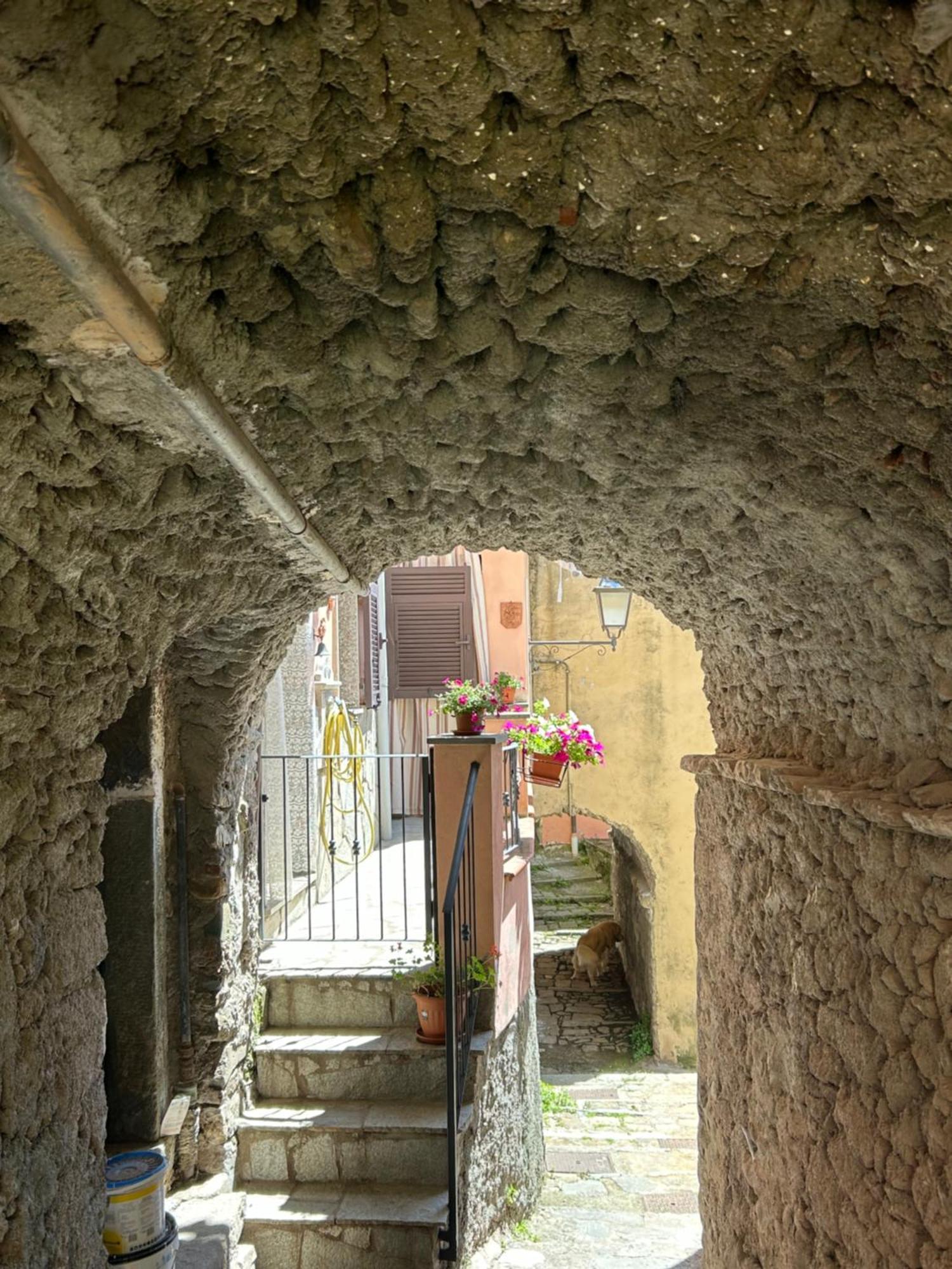 Appartement Ca De Igiu-Biassa-Cinque Terre Extérieur photo
